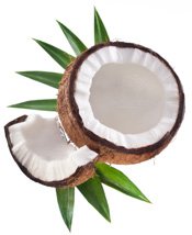 Чому кокосове масло корисно
