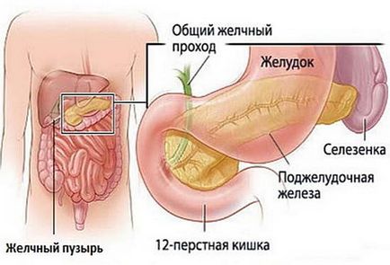 Tratamentul pancreasului cu remedii folclorice