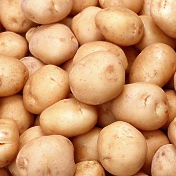 Sfaturi utile cum să cumpărați cartofi en gros pentru iarnă