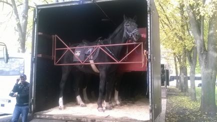 Поліклініку водників позбавляють даху над головою