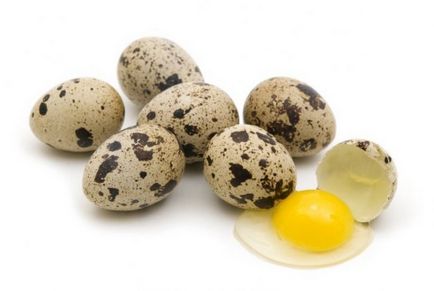Користь і шкода перепелиних яєць для чоловіків, жінок, дітей