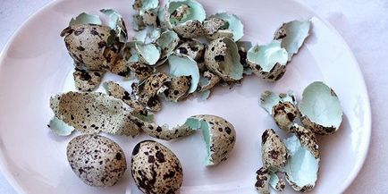 Beneficii și daune de ouă de prepelit pentru bărbați, femei, copii