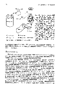 Posztganglionáris neuronok - Referencia vegyész 21