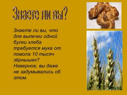 Презентація на тему хліб для російської людини завжди означав більше ніж будь-який інший продукт