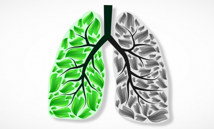 Профілактика раку легенів 6 простих правил