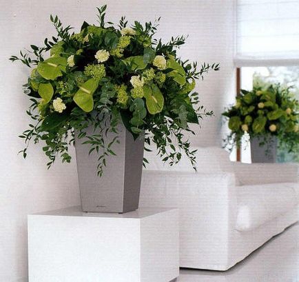 Рослини в інтер'єрі декоративний штучний декор, кімнатні квіти