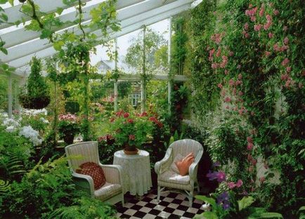 Plante decor decorative decoratiuni interioare, flori de interior
