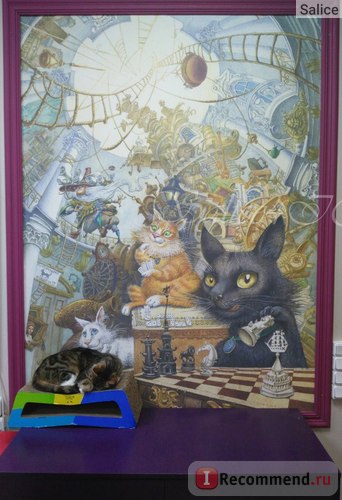 Республіка кішок, санкт-петербург - «як кікімани в республіці кішок гостювали», відгуки покупців