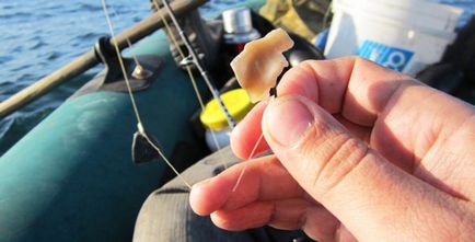 Fishing on a Japán-tenger fogása lepényhal hal japán tengeri lepényhal sáfrányhal