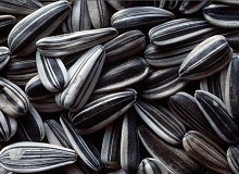 Semințe - consum de calorii, supliment alimentar