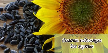 Semințele de floarea-soarelui sunt bune și rele pentru bărbați