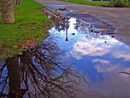 Fotografiere reflecții în apă