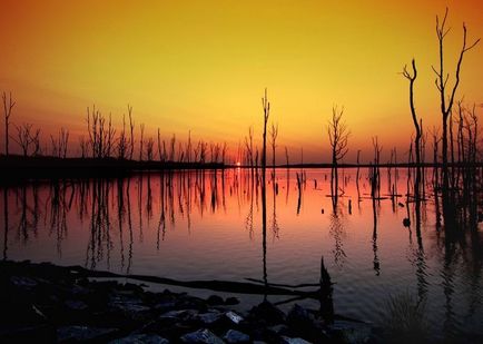 Зйомка відображень у воді