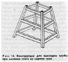 Timpul de producere a timpului liber - totul despre animale