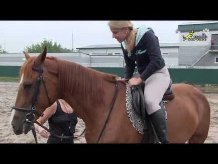 Riding school cum să porniți în mod corespunzător un cal