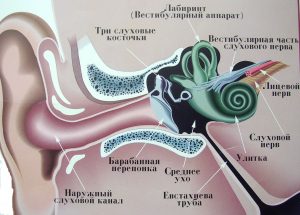 Шум у вухах лікування в домашніх умовах