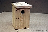 Birdhouse pentru păsări - cum se face (instrucțiuni, postere, desen, sfaturi, fotografii