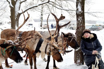 Зліт оленярів, мисливців і рибалок в селі русскінская, відгук від туриста aprel2011 на