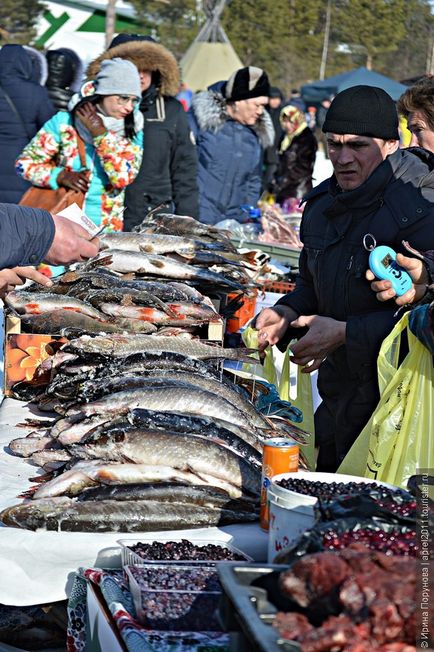 Összeszedte a rénszarvas pásztorok, vadászok és halászok a falu Russkinskaya, visszajelzést aprel2011 turista (falu) Összeszedte a rénszarvas pásztorok, vadászok és halászok a falu Russkinskaya, visszajelzést turisták aprel2011
