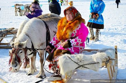 Összeszedte a rénszarvas pásztorok, vadászok és halászok a falu Russkinskaya, visszajelzést aprel2011 turista (vadászok) Összeszedte a rénszarvas pásztorok, vadászok és halászok a falu Russkinskaya, visszajelzést turisták aprel2011