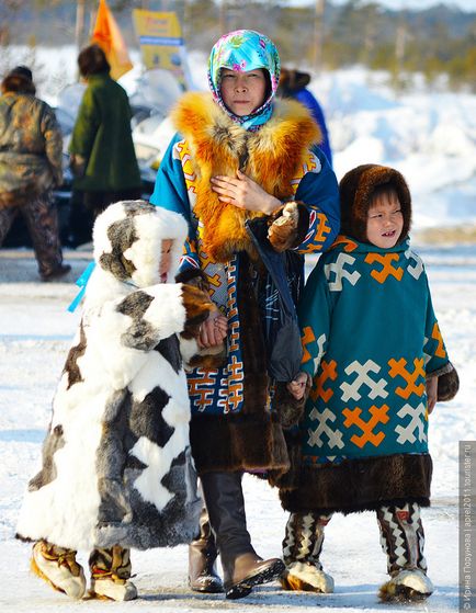 Összeszedte a rénszarvas pásztorok, vadászok és halászok a falu Russkinskaya, visszajelzést turisták aprel2011
