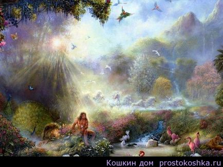 Álomértelmezés paradicsom (álom) Álom értelmezése paradicsom