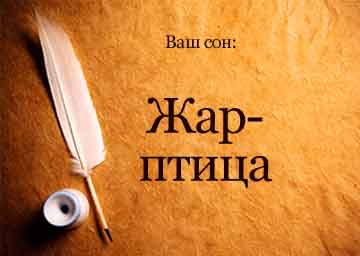 Сонник жар птиця в небі уві сні бачити до чого приснилася