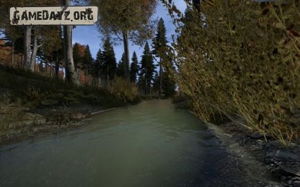 Рада як стати лісничим в dayz standalone