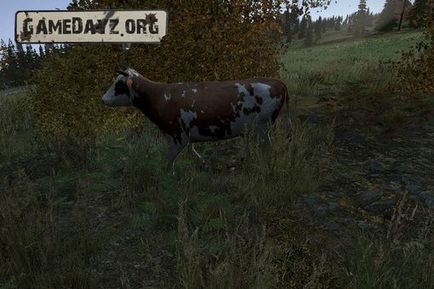 Рада як стати лісничим в dayz standalone