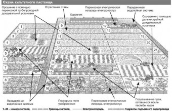 Soia biologie și tehnologie, informații și publicitate ziar agrarian - agroinfo