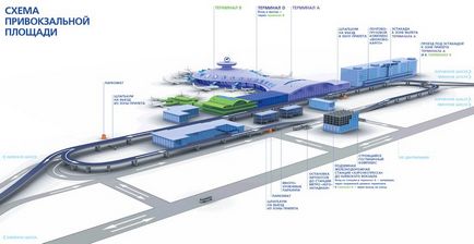 Aeroportul răspunde la numărul de telefon