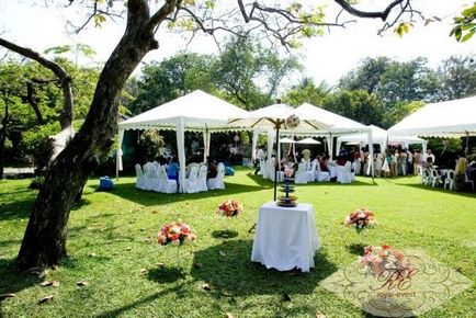 Весілля open air - організація і проведення