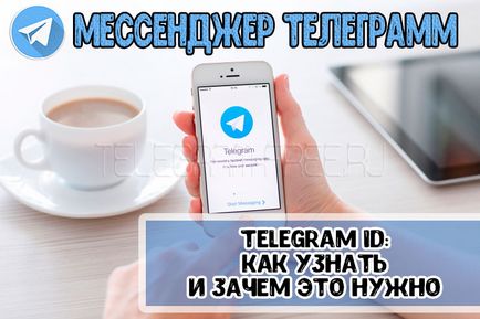 Telegramă id cum să învețe modalitățile de bază de obținere a informațiilor
