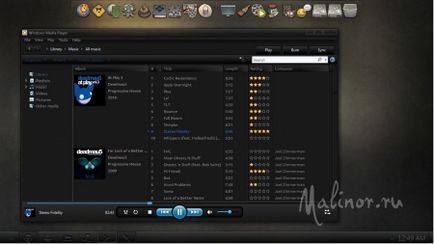 Теми към Windows Media Player