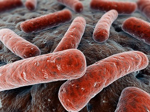 Tuberculoza ganglionilor limfatici intrathoracici la copiii cu complicații ale bolii