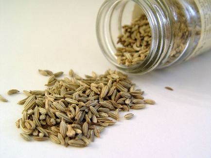 Dill szagos (kert) leírása és használata virágzatot, gyümölcsök nevezik magokat, szülőhelye (leírás) Dill szagos (kert) leírása és használata virágzatot, gyümölcsök, magvak neveznek, haza