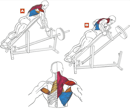 Exerciții pentru spate 6 acțiuni suplimentare pentru un spate frumos