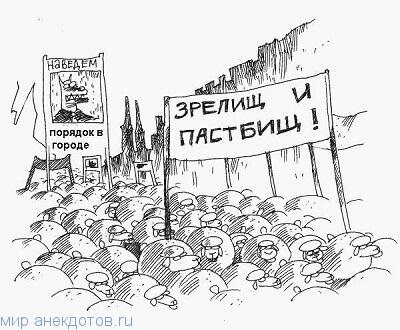 Веселі анекдоти про вівцю, світ анекдотів