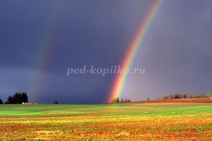 A válaszokat a diákok a nyári táborban egy vidám nyári