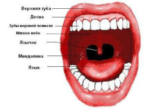 Inflamația amigdalelor cum se tratează glandele umflate