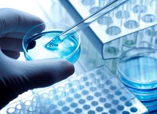 În Rusia, terapia cu celule stem a fost legalizată, dar nu poate fi folosită pentru clonare
