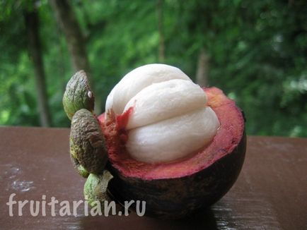 Totul - totul - totul despre mangosteen