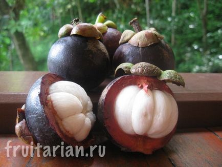 Totul - totul - totul despre mangosteen