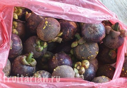 Totul - totul - totul despre mangosteen