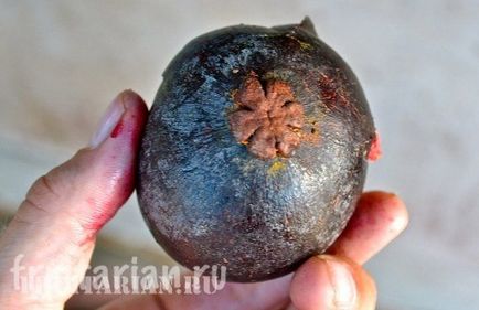 Totul - totul - totul despre mangosteen