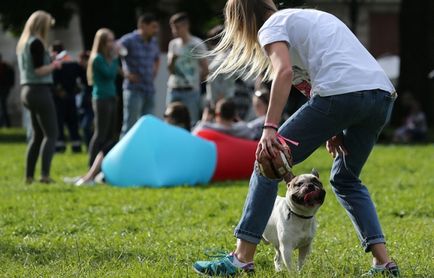 У список найбільш незвичайних вакансій літа увійшли няня для собак і доглядач пірсу