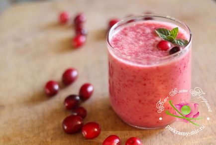 Berry Smoothies retete cu iaurt, lapte, inghetata, apa
