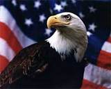Miért megyünk Amerikába (Amerika) Miért megyünk Amerikába