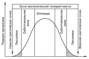 закон оптимуму