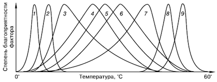 закон оптимуму